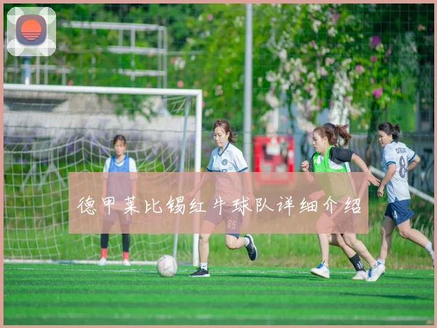 德甲莱比锡红牛球队详细介绍