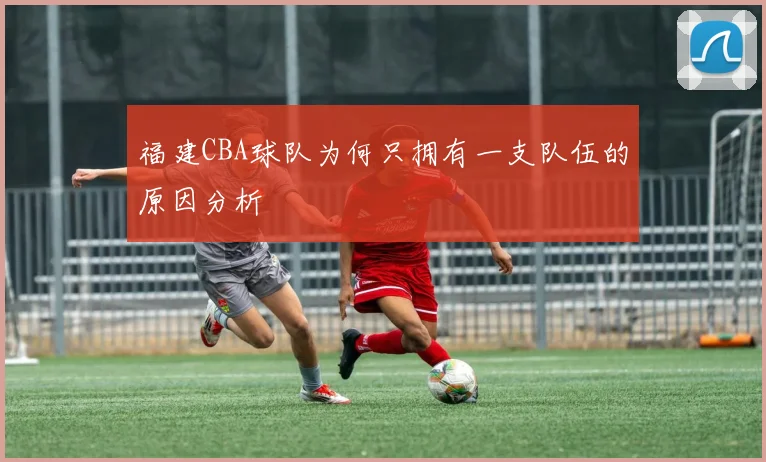 福建CBA球队为何只拥有一支队伍的原因分析